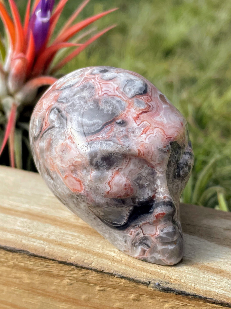 Pink Crazy Lace Agate Alien Skull Carving