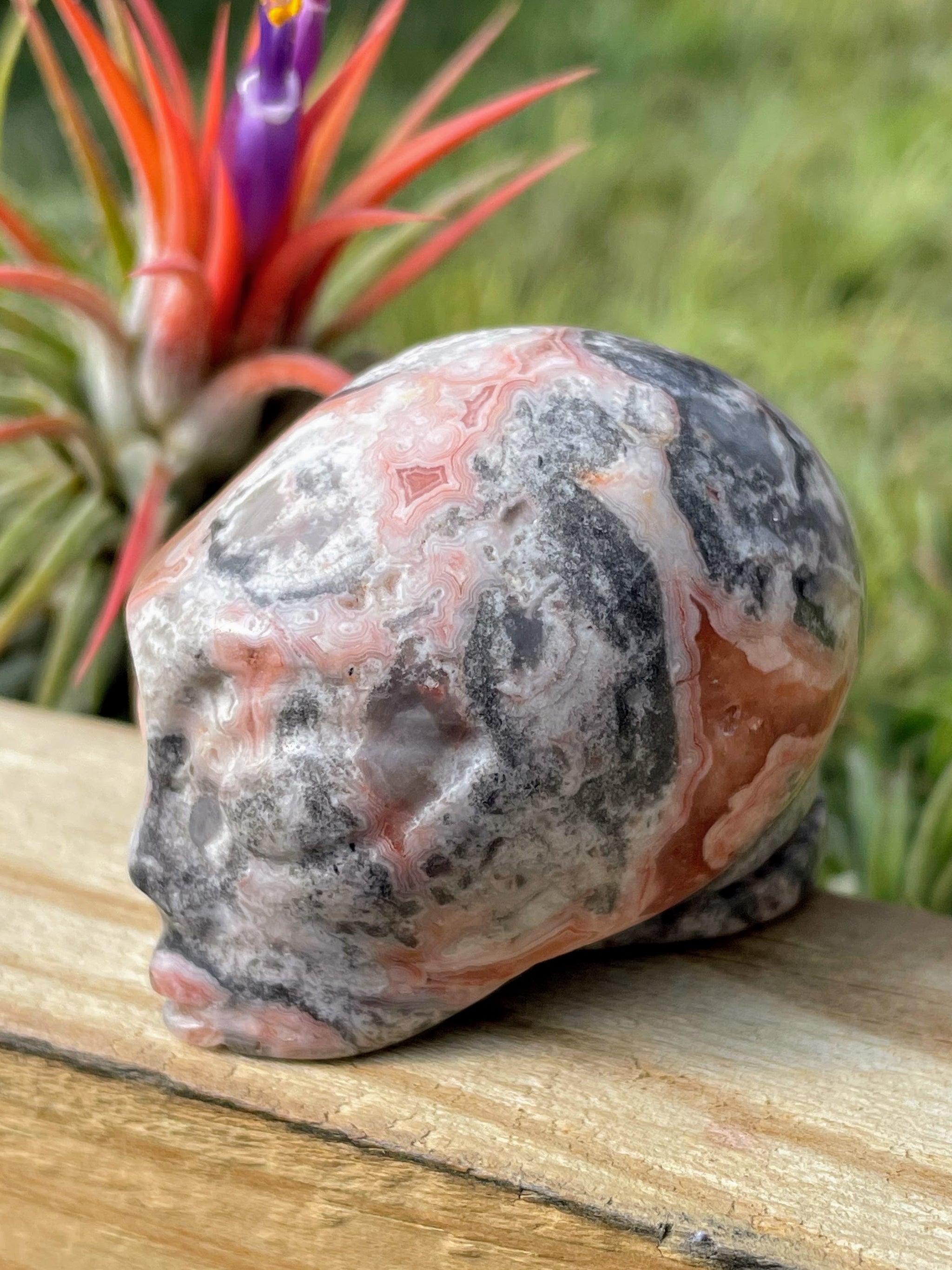 Pink Crazy Lace Agate Alien Skull Carving