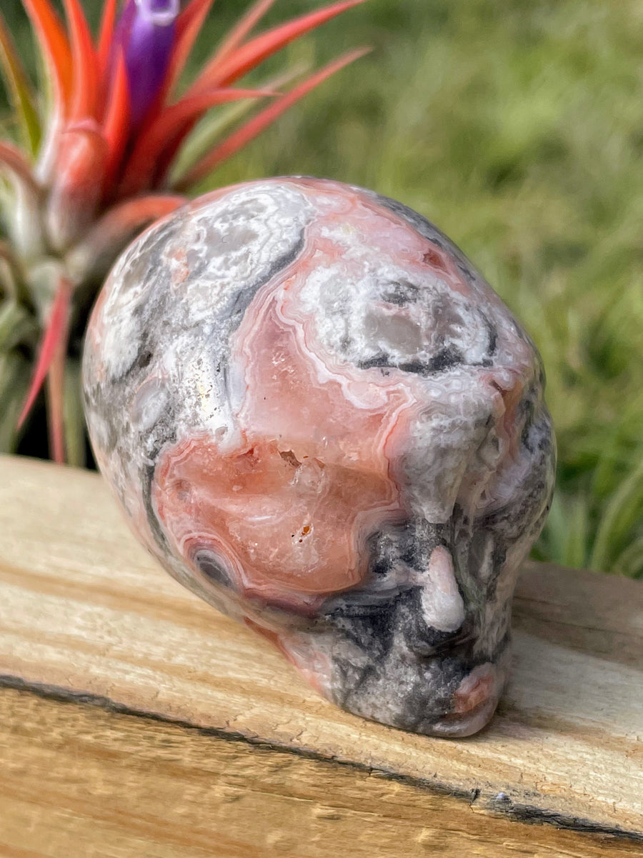 Pink Crazy Lace Agate Alien Skull Carving