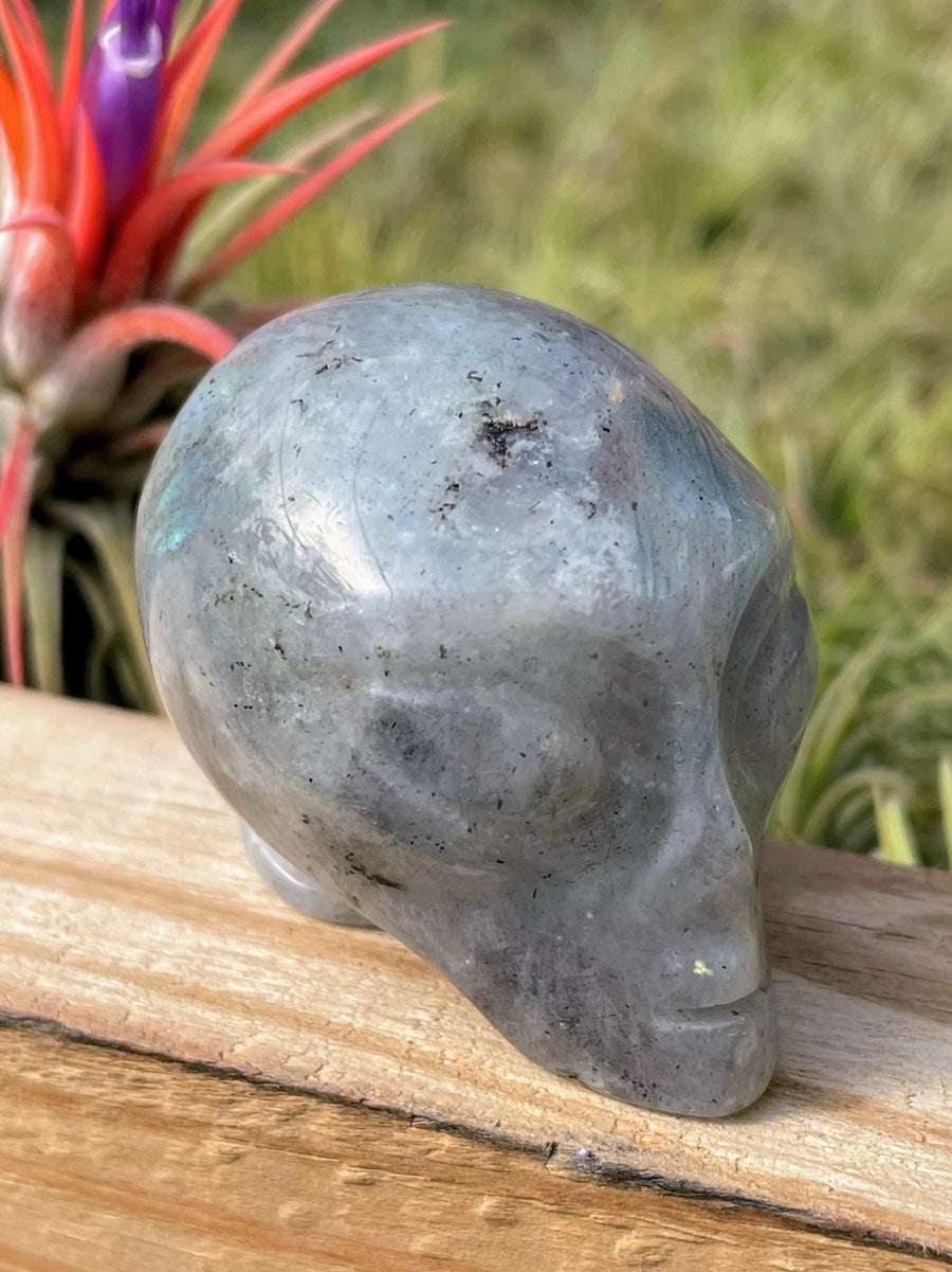 Labradorite Alien Skull Carving