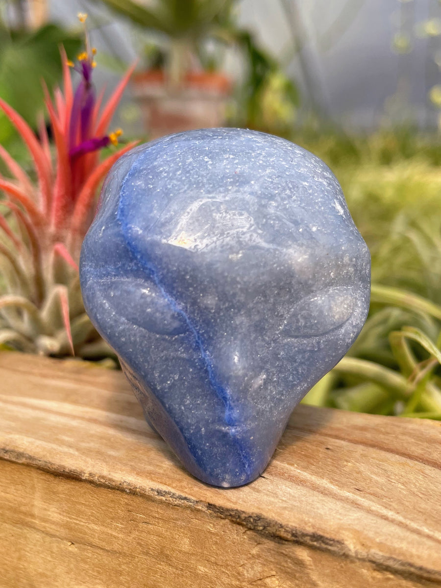 Blue Aventurine Alien Skull Carving