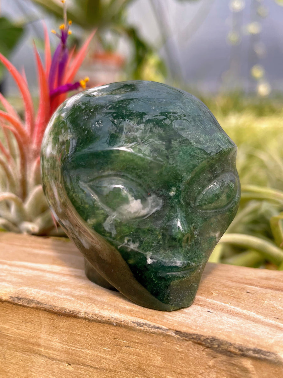 Moss Agate Alien Skull Carving