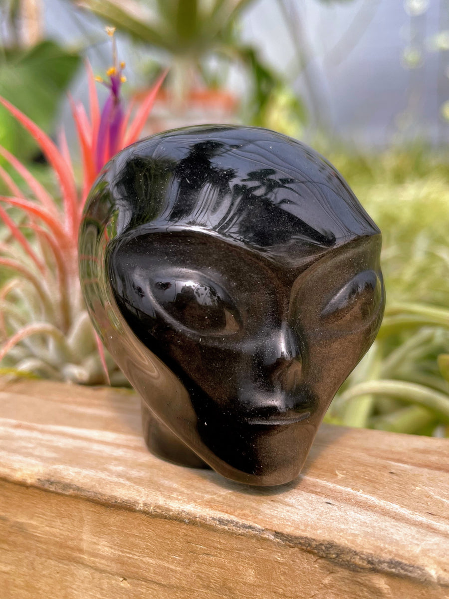 Silver Sheen Obsidian Alien Skull Carving