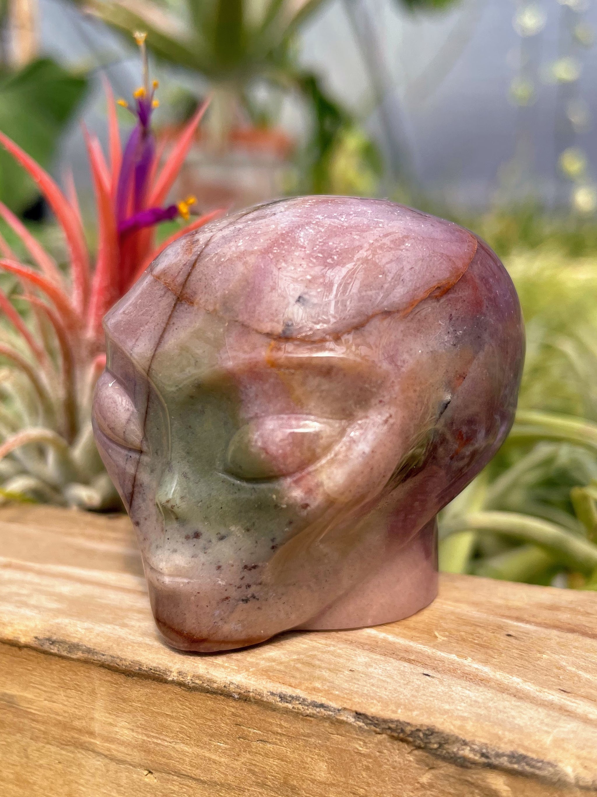 Pink Ocean Jasper Alien Skull Carving