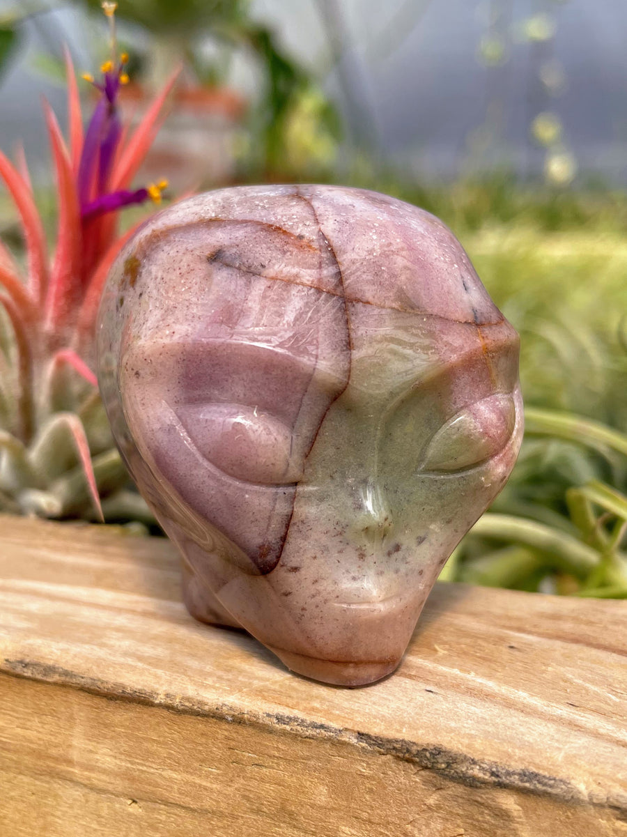 Pink Ocean Jasper Alien Skull Carving