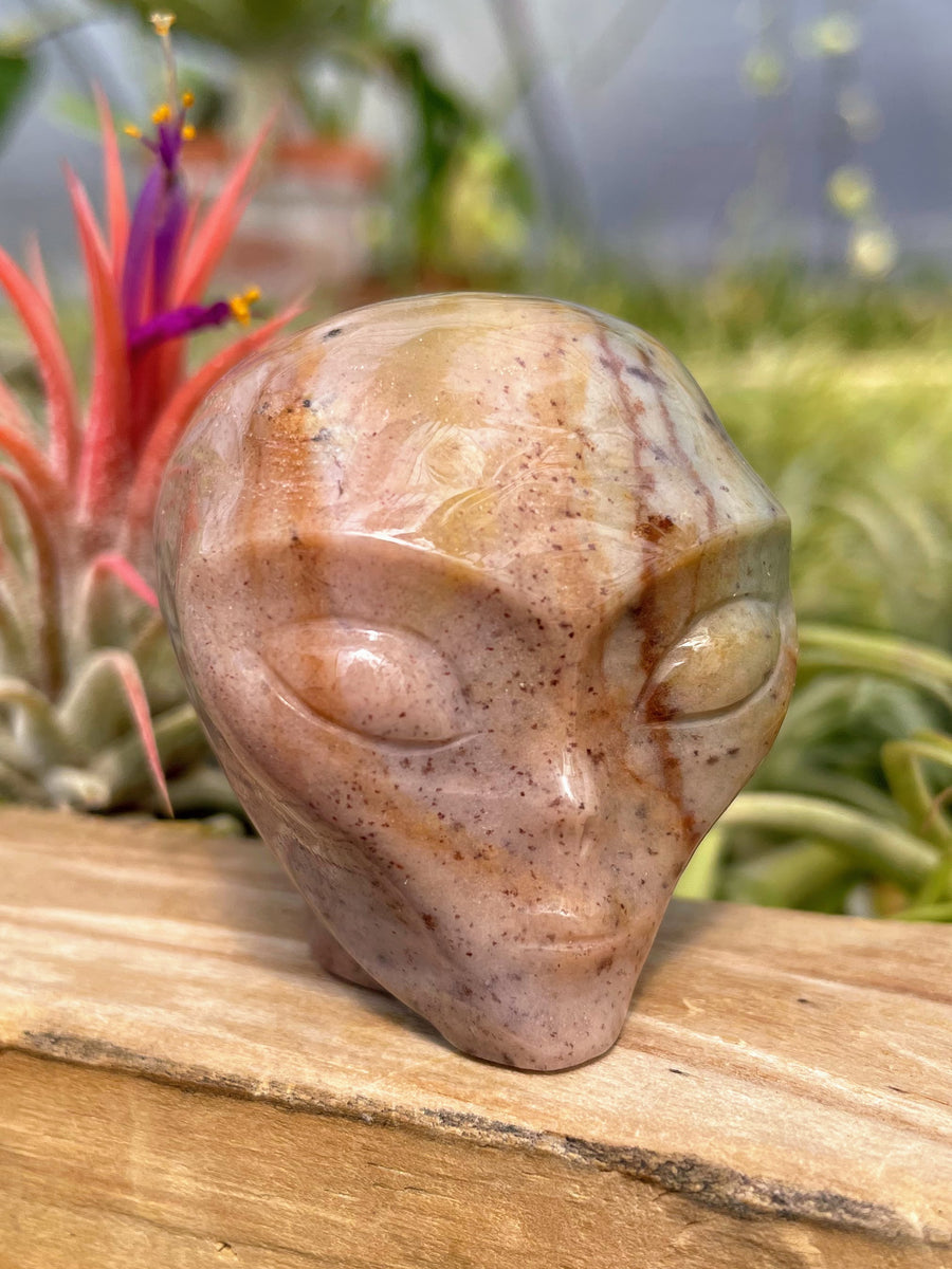 Pink Ocean Jasper Alien Skull Carving