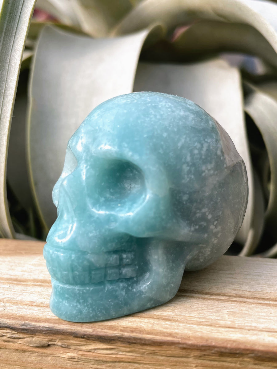 Medium Carribean Calcite Skull Carving
