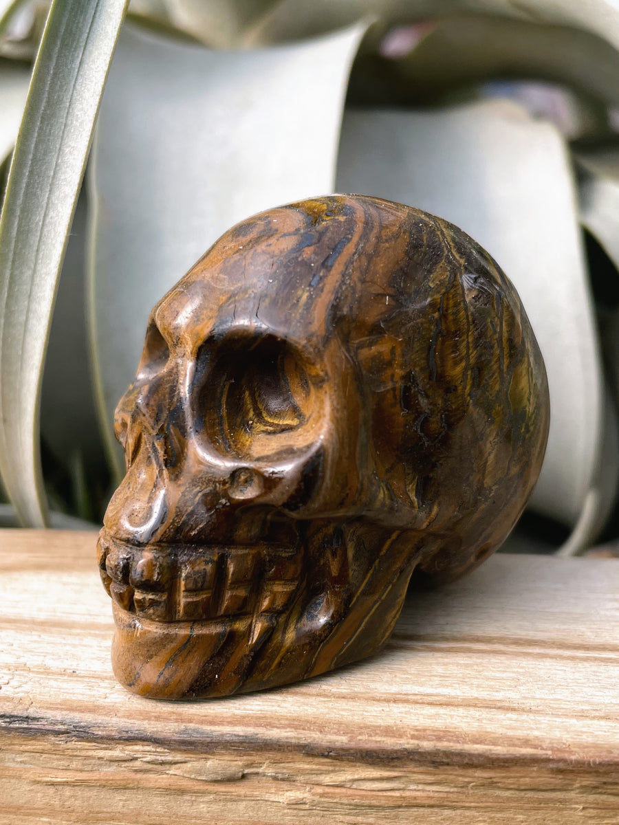 Medium Tiger's Eye Skull Carving