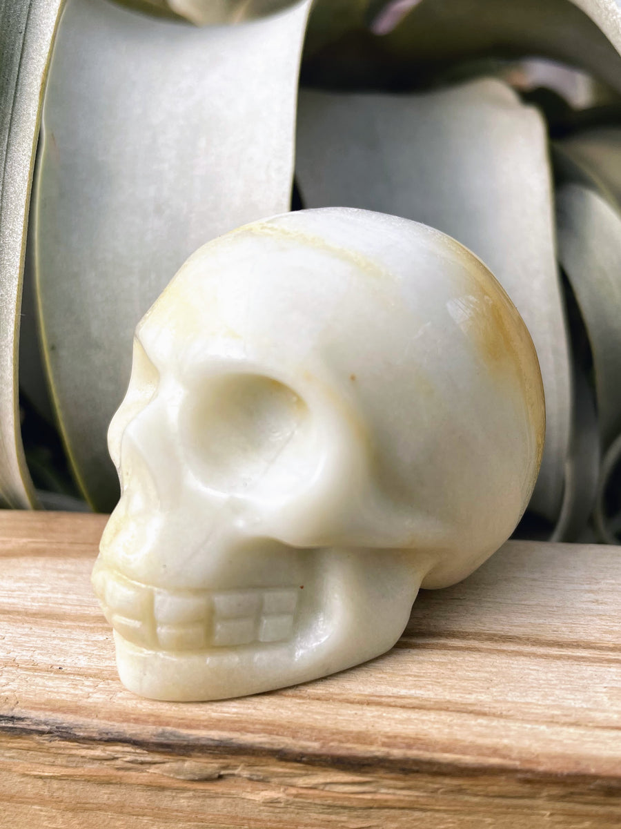 Medium Aventurine Skull Carving