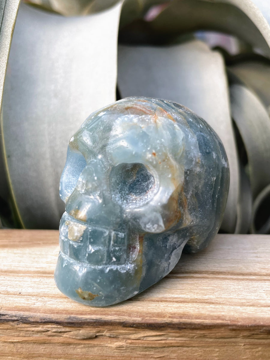 Medium Blue Onyx Skull Carving
