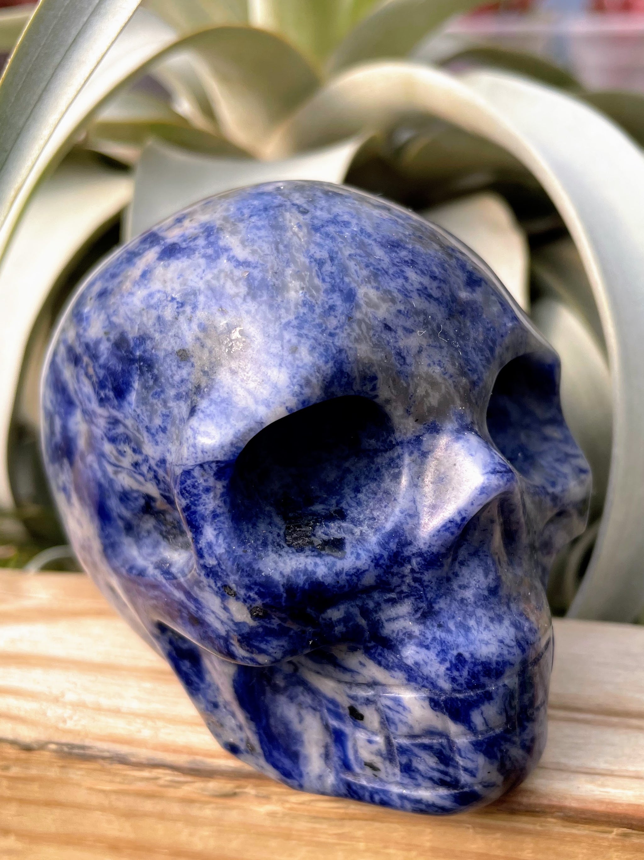Large Lapis Lazuli Skull Carving
