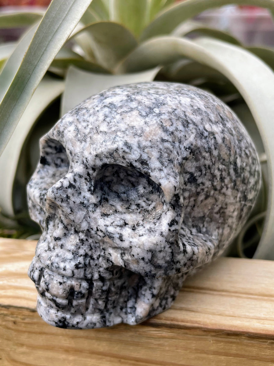 Large Granite Skull Carving