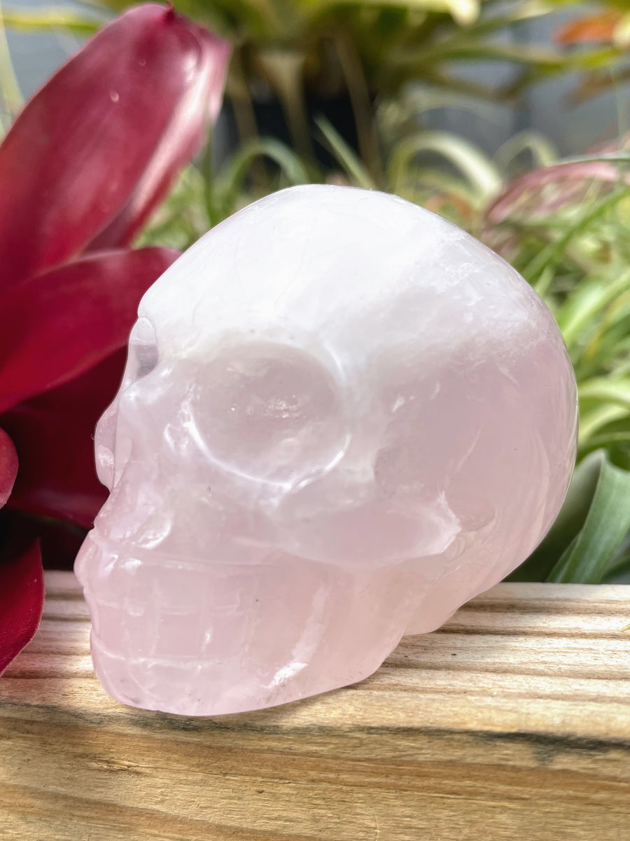 Medium Rose Quartz Skull Carving