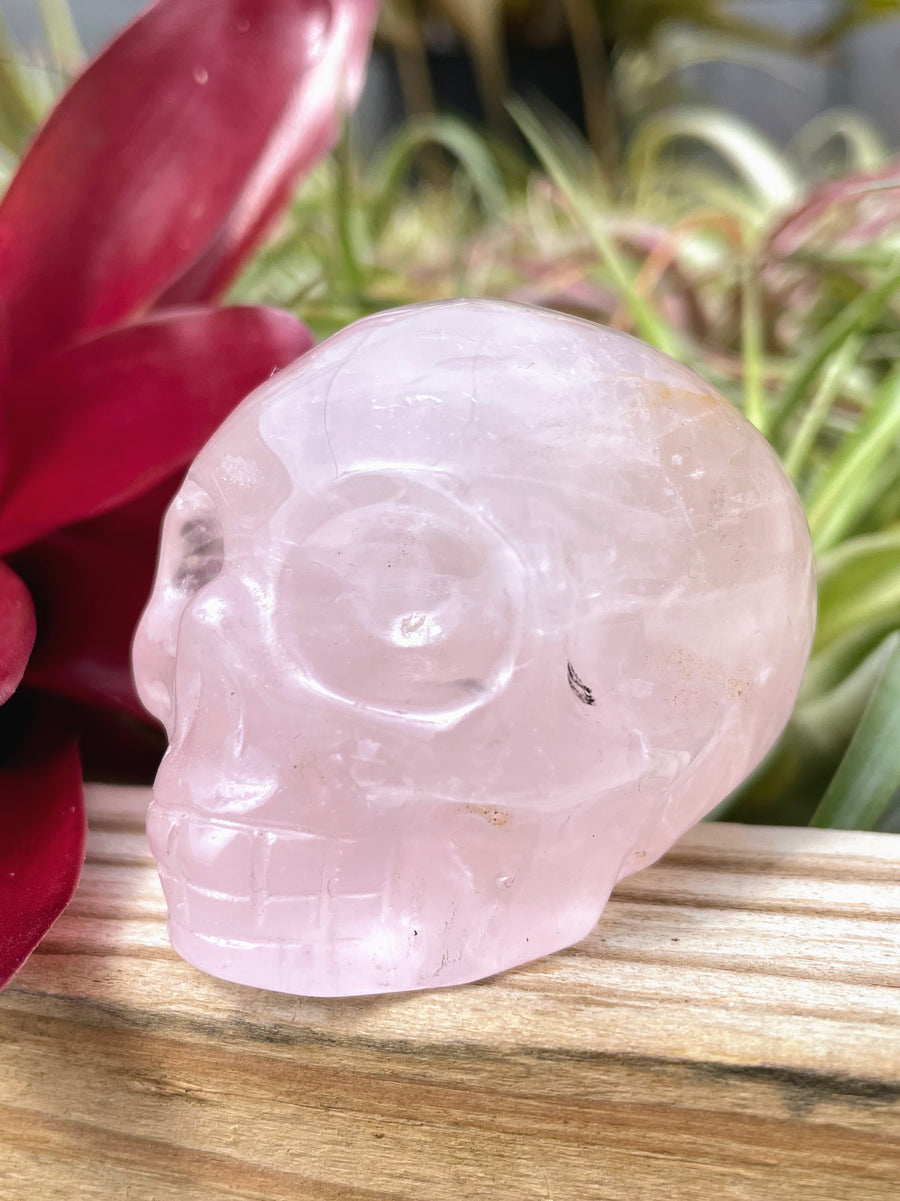 Medium Rose Quartz Skull Carving