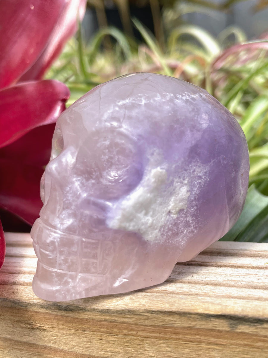 Medium Fluorite Skull Carving