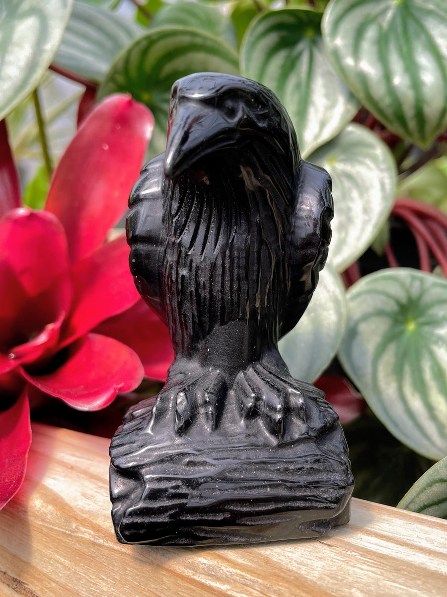 Black Obsidian Raven Crystal Carving