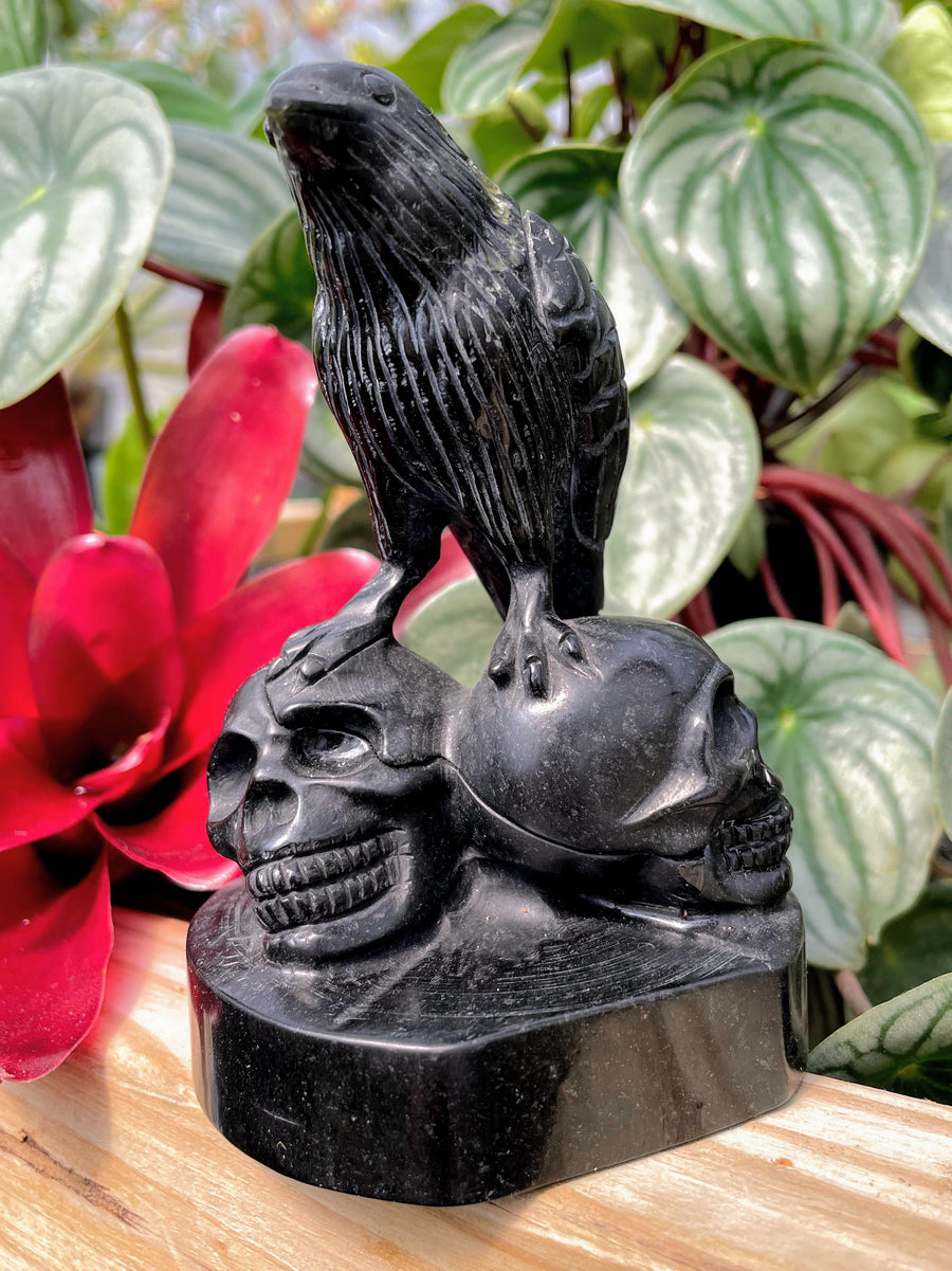 Black Obsidian Double Skull Raven Crystal Carving