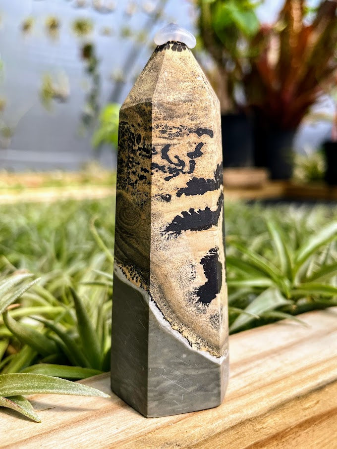 Picture Jasper Crystal Point
