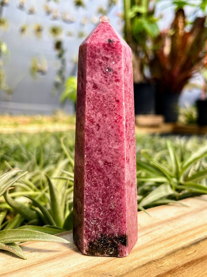 Rhodonite Crystal Point