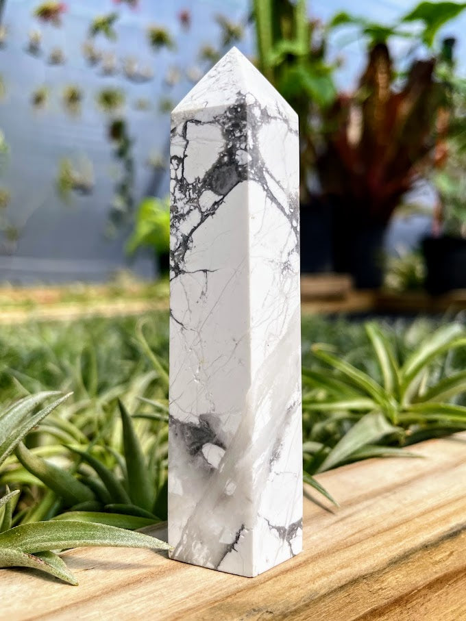 Howlite Crystal Point