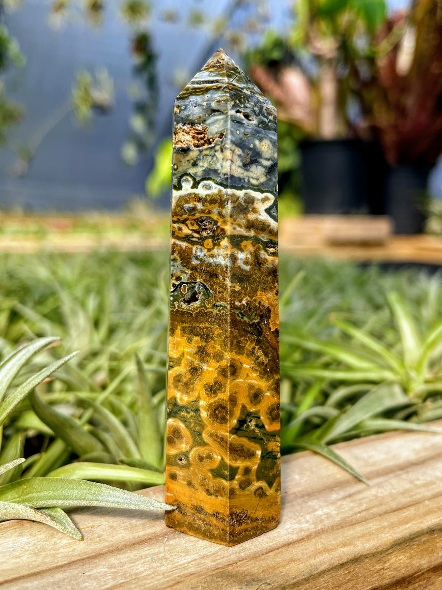 Druzy Orbicular Ocean Jasper Crystal Point