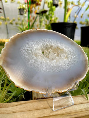 WYSIWYG- Druzy Agate Slab
