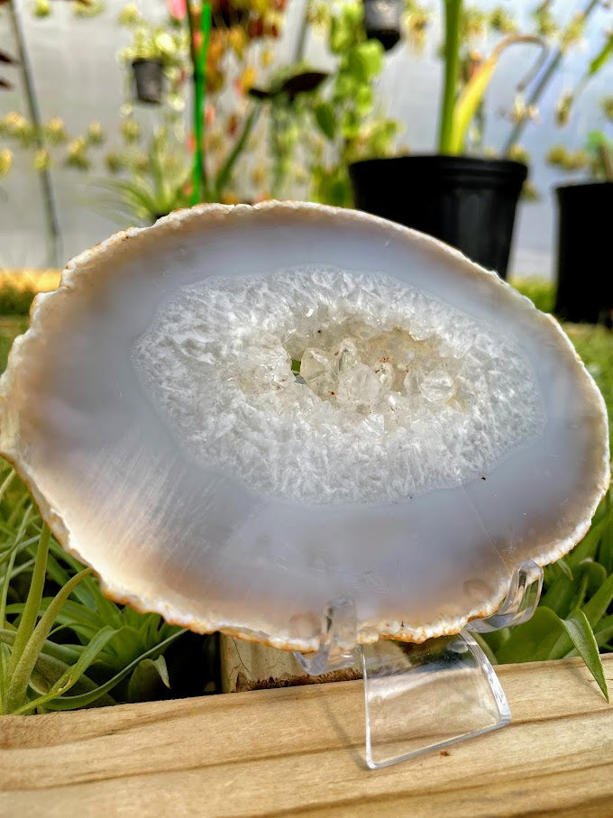 WYSIWYG- Druzy Agate Slab