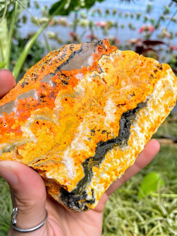 WYSIWYG- Bumblebee Jasper Slab