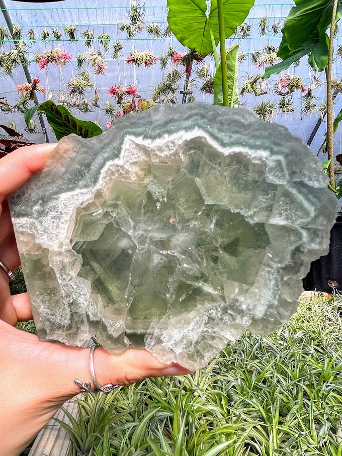 WYSIWYG- Green Fluorite Slab