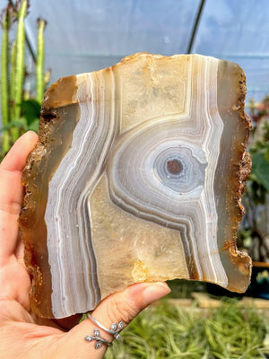 WYSIWYG- Agate Slab