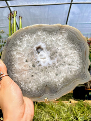 WYSIWYG- Druzy Agate Slab