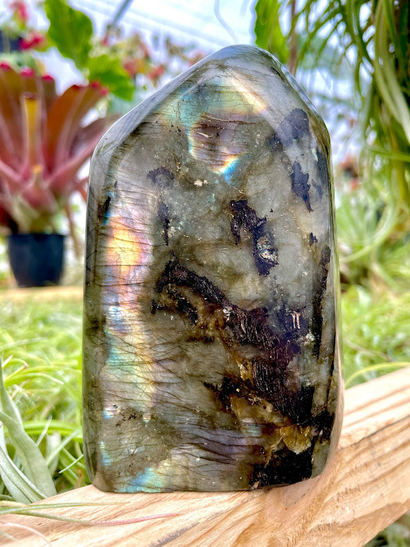 WYSIWYG- Labradorite Freeform