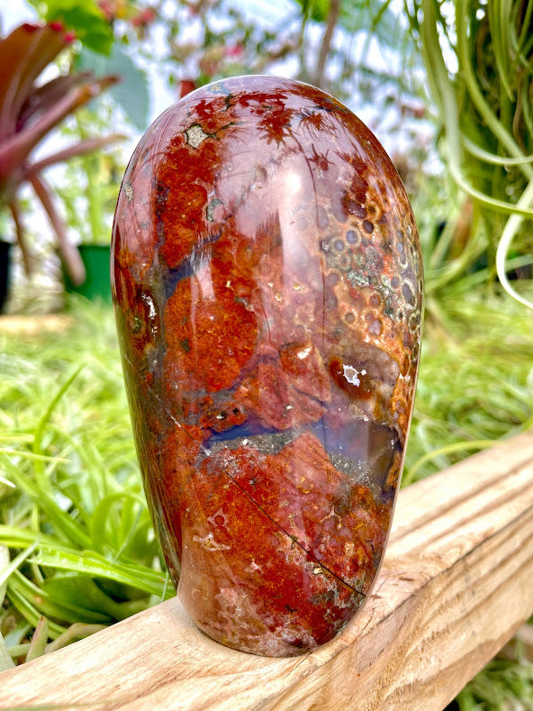 WYSIWYG- Ocean Jasper Freeform