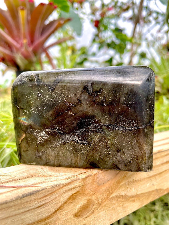 WYSIWYG- Labradorite Freeform