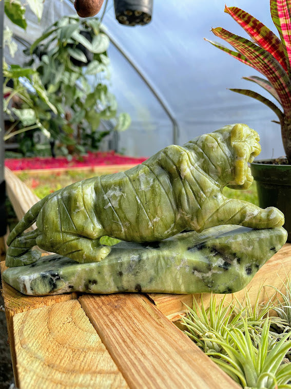 WYSIWYG- Green Jade Tiger