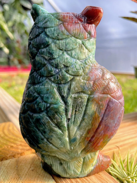 WYSIWYG- Ocean Jasper Owl