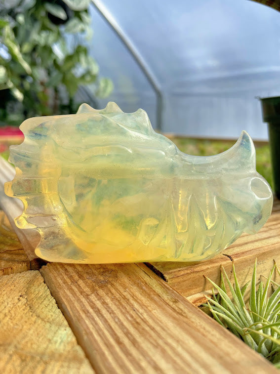 WYSIWYG- Opalite Dragon Head