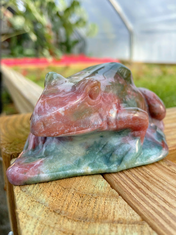 WYSIWYG- Ocean Jasper Frog
