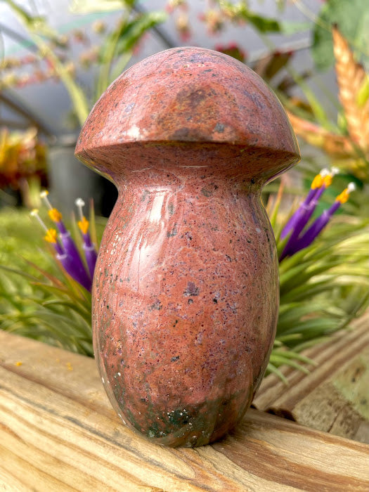 WYSIWYG- Ocean Jasper Mushroom