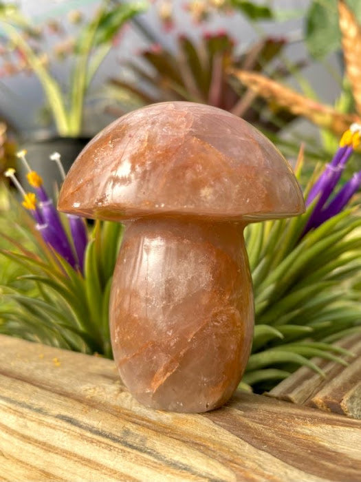 WYSIWYG- Fire Quartz Mushroom