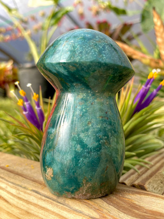 WYSIWYG- Ocean Jasper Mushroom