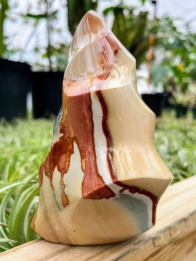 WYSIWYG- Polychrome Jasper Flame