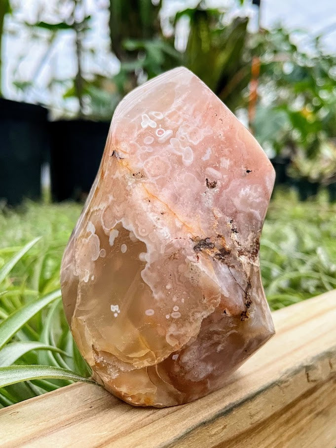 WYSIWYG- Flower Agate Flame