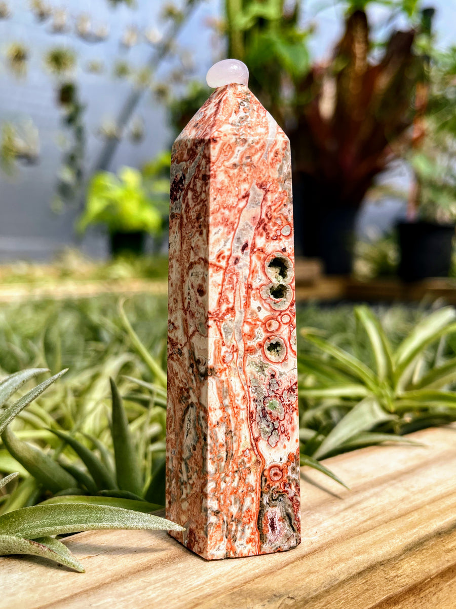 Leopard Skin Jasper Crystal Point